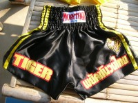 Tiger Muay Thai