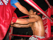 Muay Thai fighter